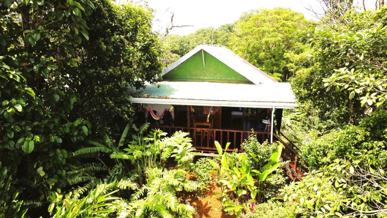Cabana Ara Macao Lodge Drakes Bay Esterno foto